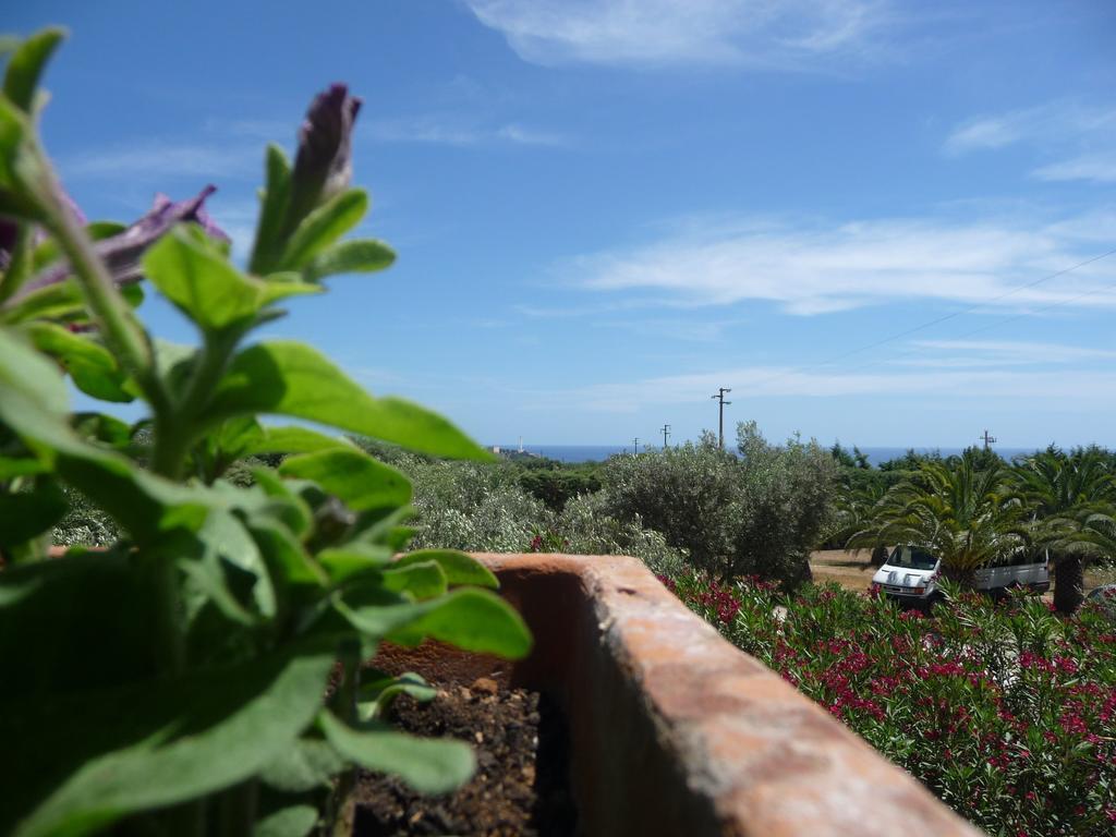 Masseria Serine Santa Maria di Leuca Extérieur photo