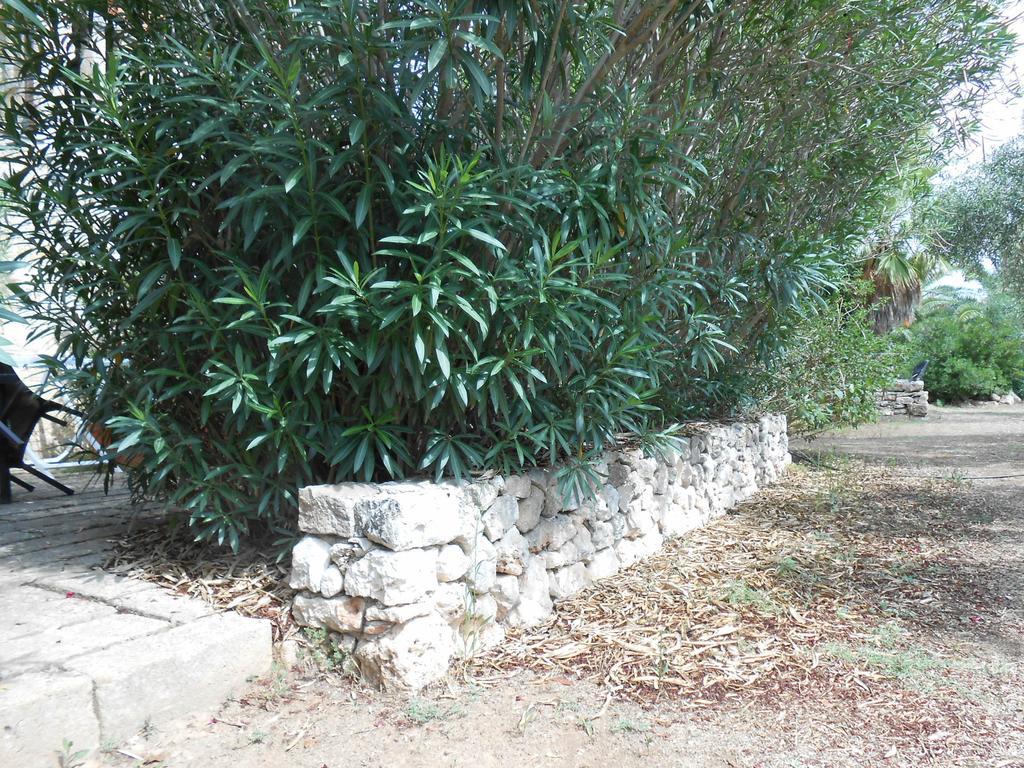 Masseria Serine Santa Maria di Leuca Extérieur photo